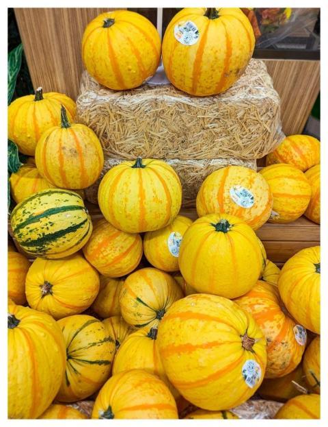 Pumpkins Heirloom Fruit Harvest