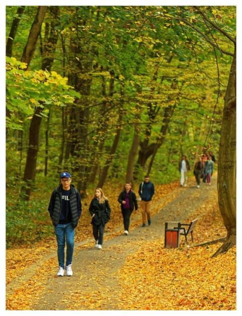 People Casual Jeans Bag