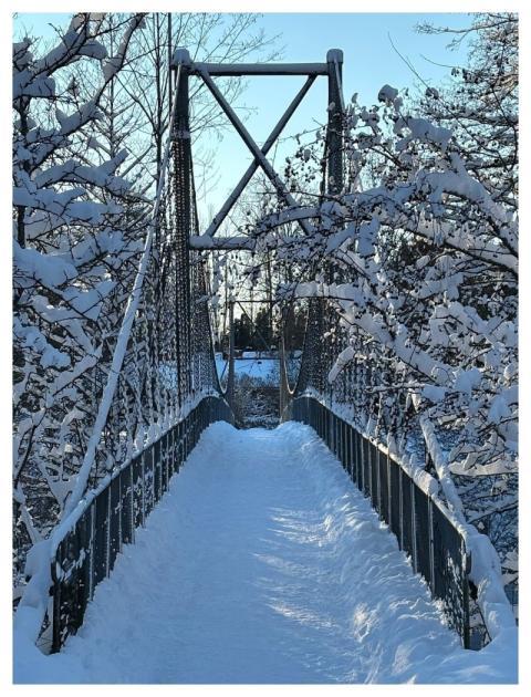 Bridge Pedestrian Winter Snowy