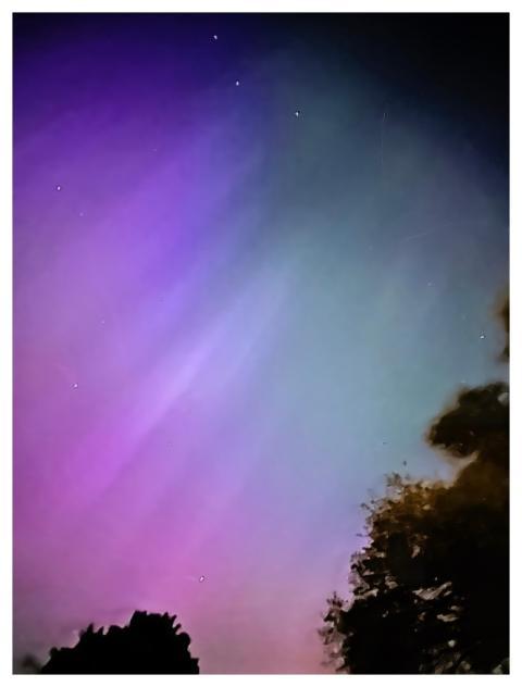 Trees Silhouette Northern Lights Aurora