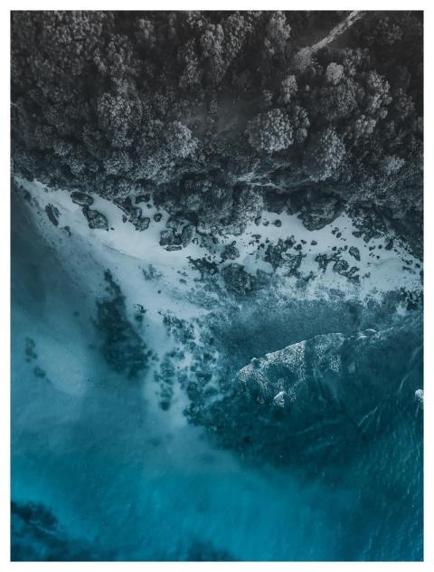 Nature Landscape Tree Sky