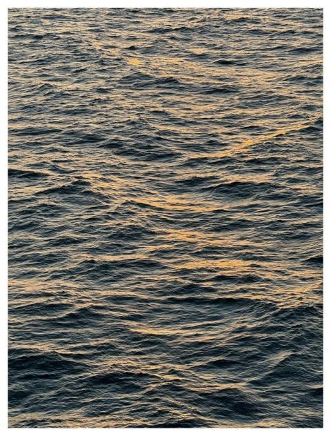 Cruise Sea Ocean Waves