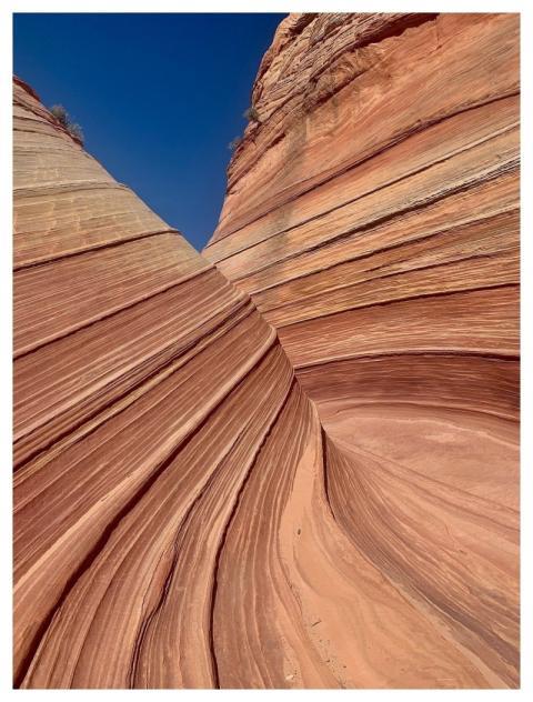 The Wave Arizona Canyon Coyote Buttes