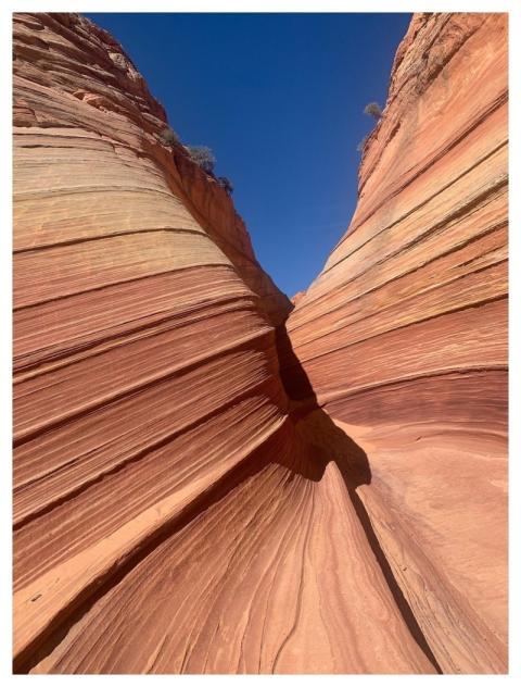 The Wave Arizona Canyon Coyote Buttes