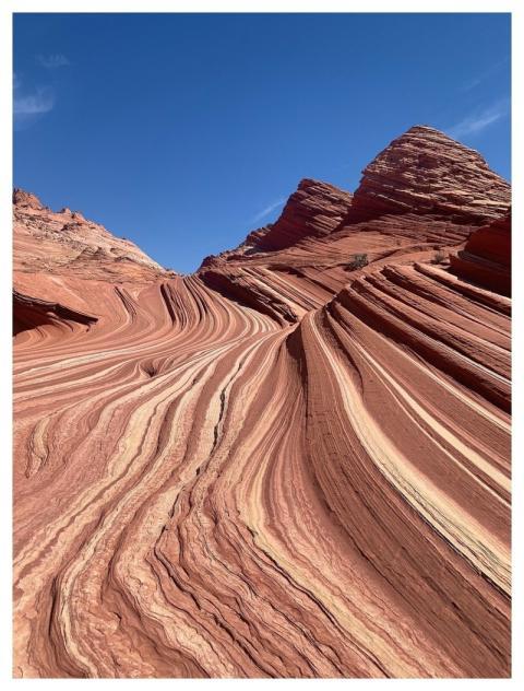The Wave Nature Arizona Canyon