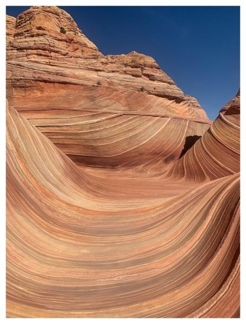 The Wave Arizona Nature Canyon