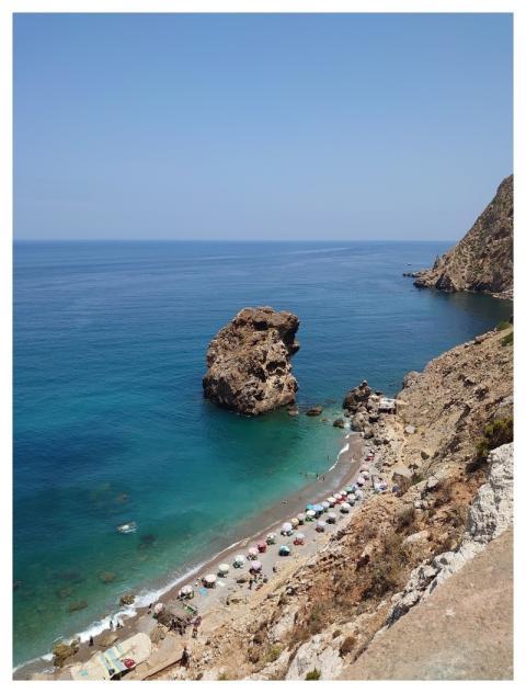 Plage Nature Trouble Insect