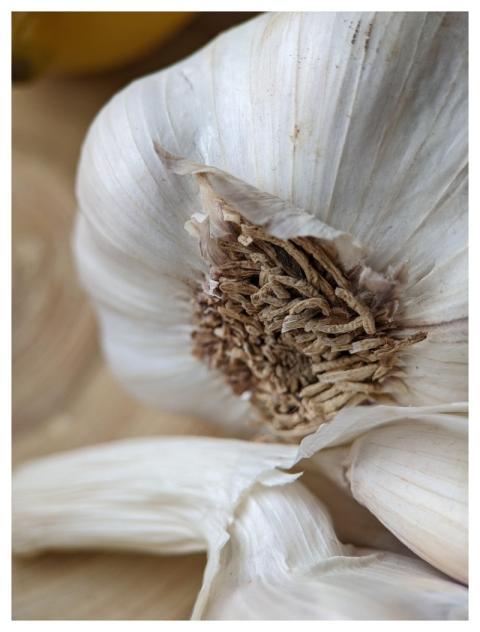 Garlic Vegetables Treatment Health