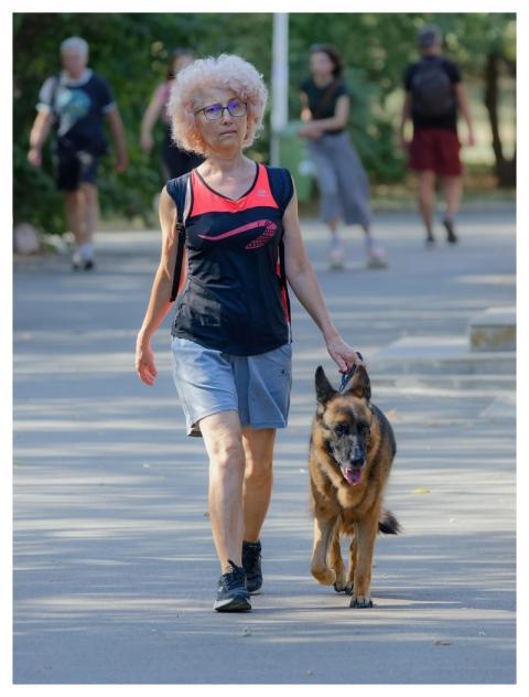 Woman Glasses Casual Animal
