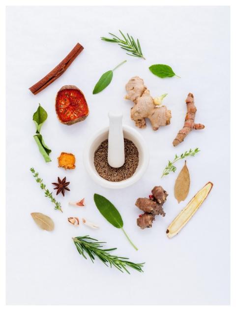 Herbs Natural Pharmaceutical Nature