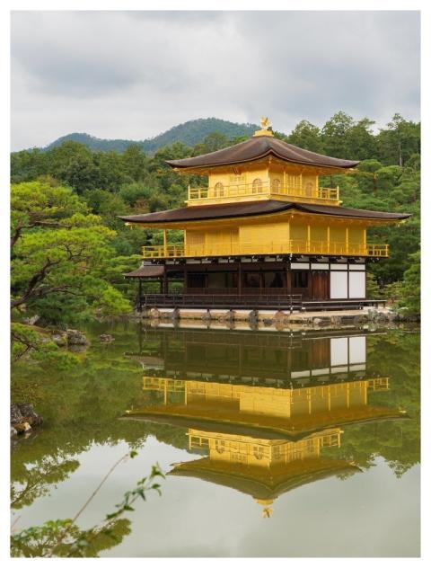 Golden Pavilion Nature Pavilion Building