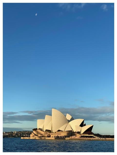 Sydney Australia Nature Sun