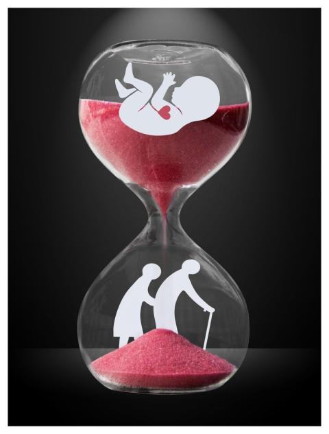 Life Cycle Growth Hourglass Time