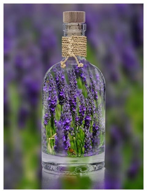 Lavender Bottle Plant Spring