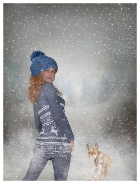 Girl Fox Snow Abstract