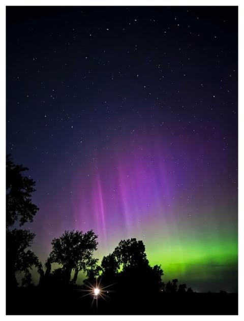 Trees Silhouette Northern Lights Nature