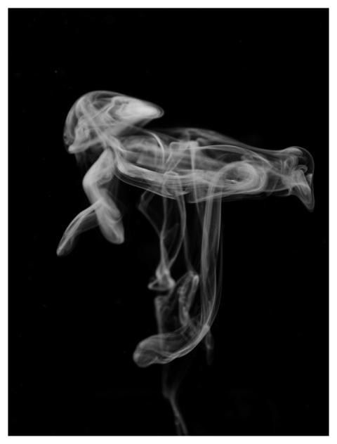 Smoke Ink Colors Torn