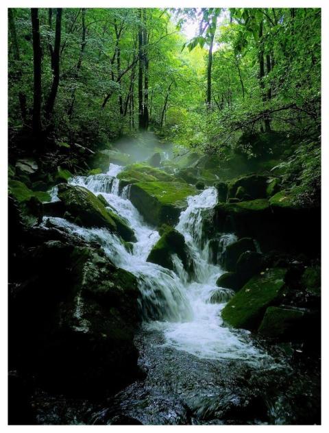 Nature Valley Waterfall Moss