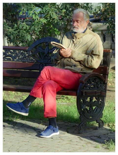 Old Man Elderly Beard Reading
