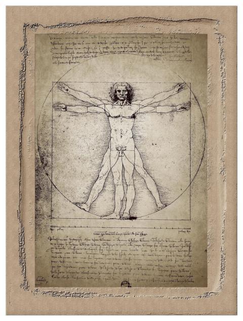 Vitruvian Man Lock Screen Wallpaper Drawing Mobile
