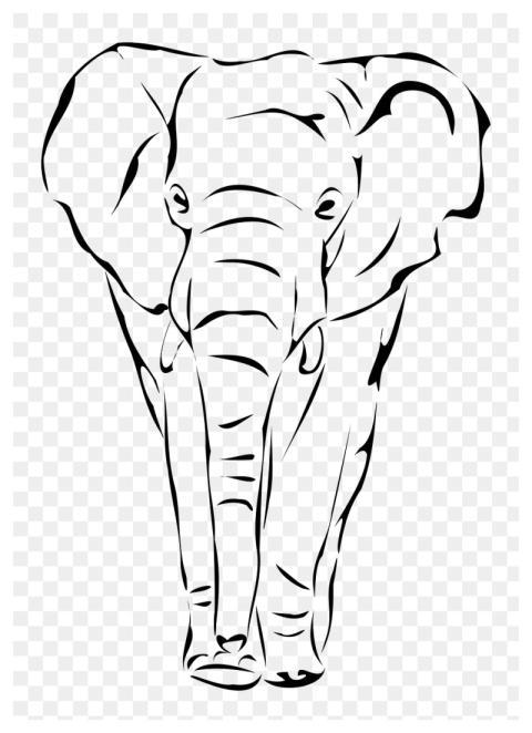 Elephant, animal png sticker, transparent