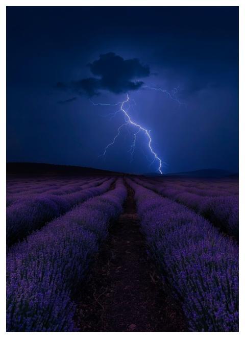 Lavender Night Lightning Nature