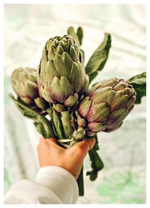 Artichokes Food Vegetables Healthy