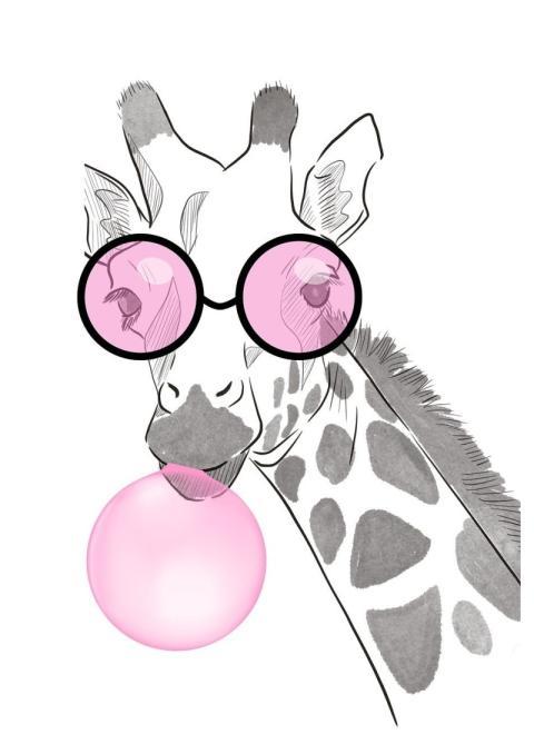 Giraffe Nature Animal Africa