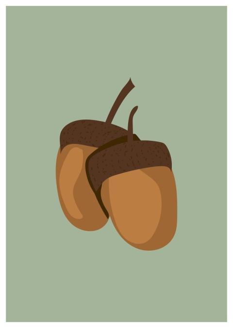 Boho Bohemian Background Drawing