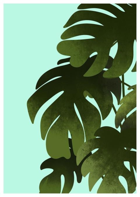 Monstera Plant Sheet Tropical