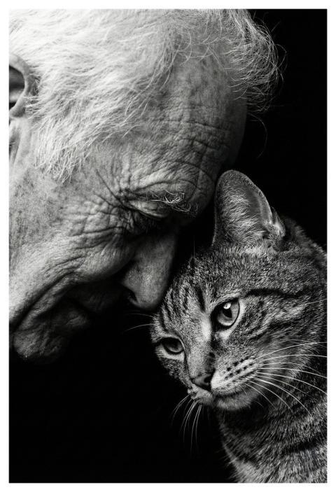 Elderly Senior Person Nature