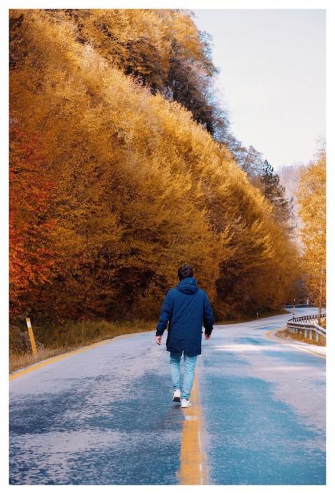 Rode Camera Movie Digital