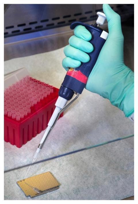 A scientist preparing samples for mass spectrometr