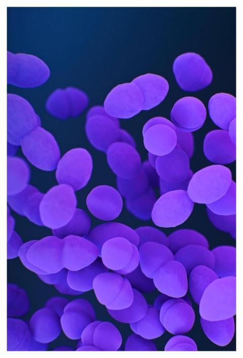 A medical illustration of vancomycin&ndash;resista