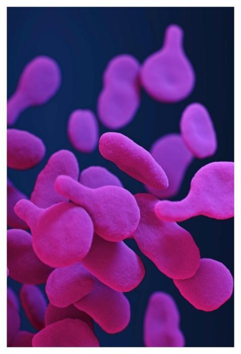 A medical illustration of drug&ndash;resistant, My