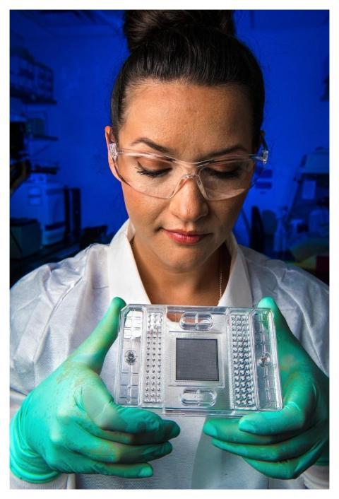 A scientist studying new methods for detecting foo