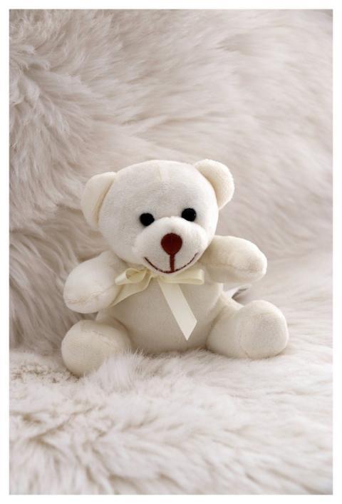 Icebear Stuffed Animal Cuddly Toy Fur