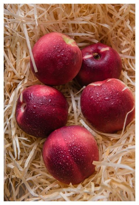 Apples Fruit Sweet Health