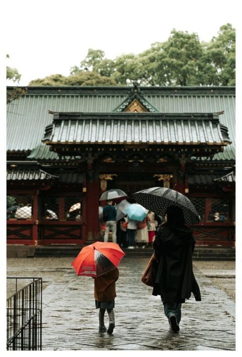 Rain Tree Nature Temple
