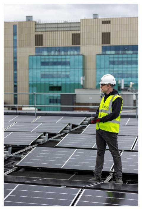 Solar Panel Solar Panels Solar Energy