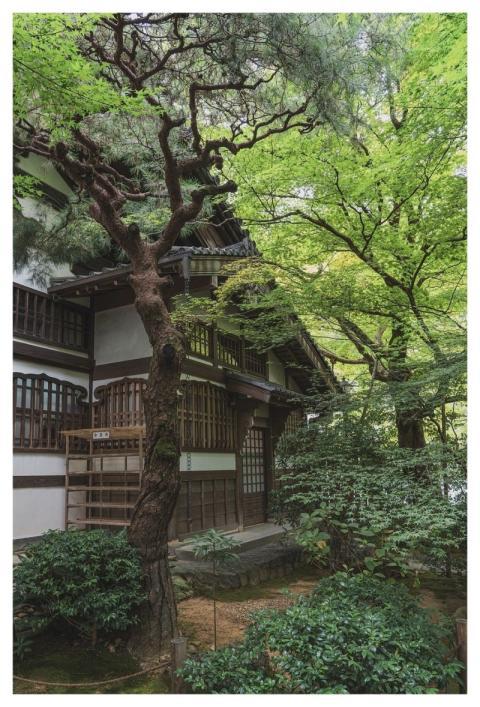 Ryoan-Ji Ryoan-Ji Temple Nature Japanese