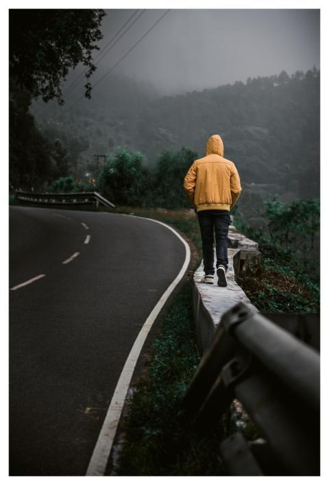 Travel Wanderlust Woods Walking