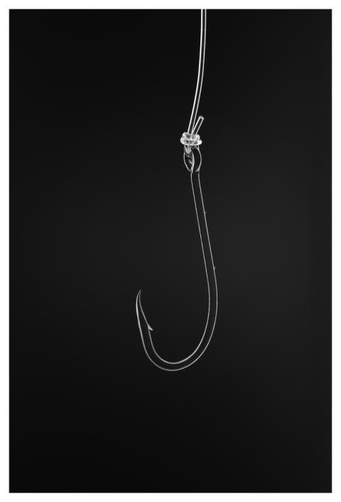 Fishing Hook Picture Art