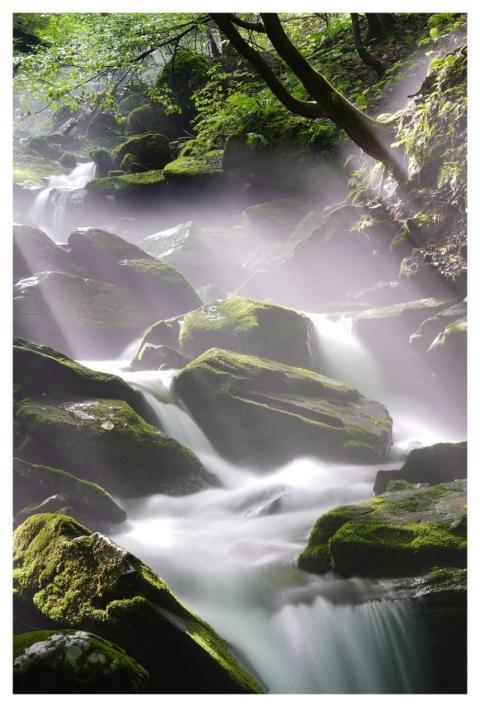 Waterfall Brook River Forest