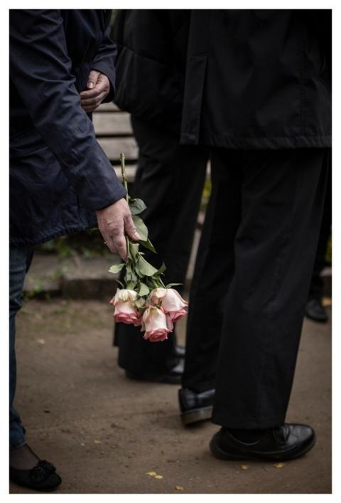 Grief Rose Rose Flower White