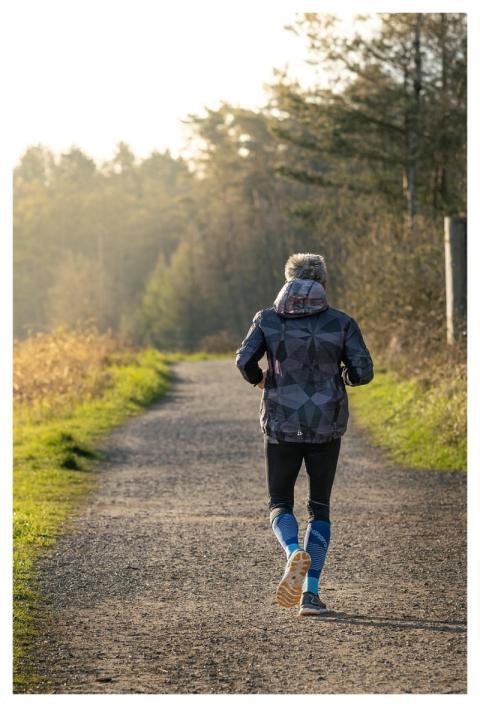 Sports Jog Running Forest