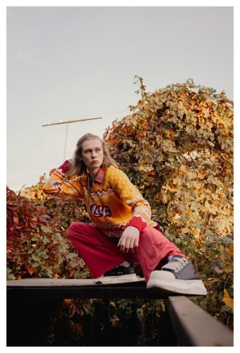 Autumn Nature Fall Leaves