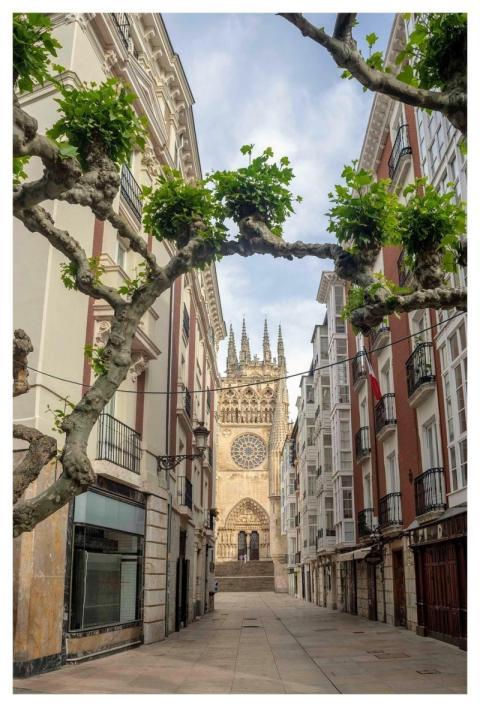 Cathedral Town Travel Europe