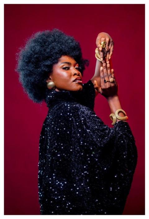 Afro Hair African Woman African Lady Natural Hair