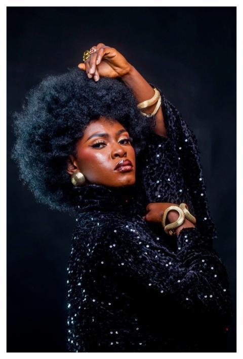 Afro Hair African Woman African Lady Natural Hair